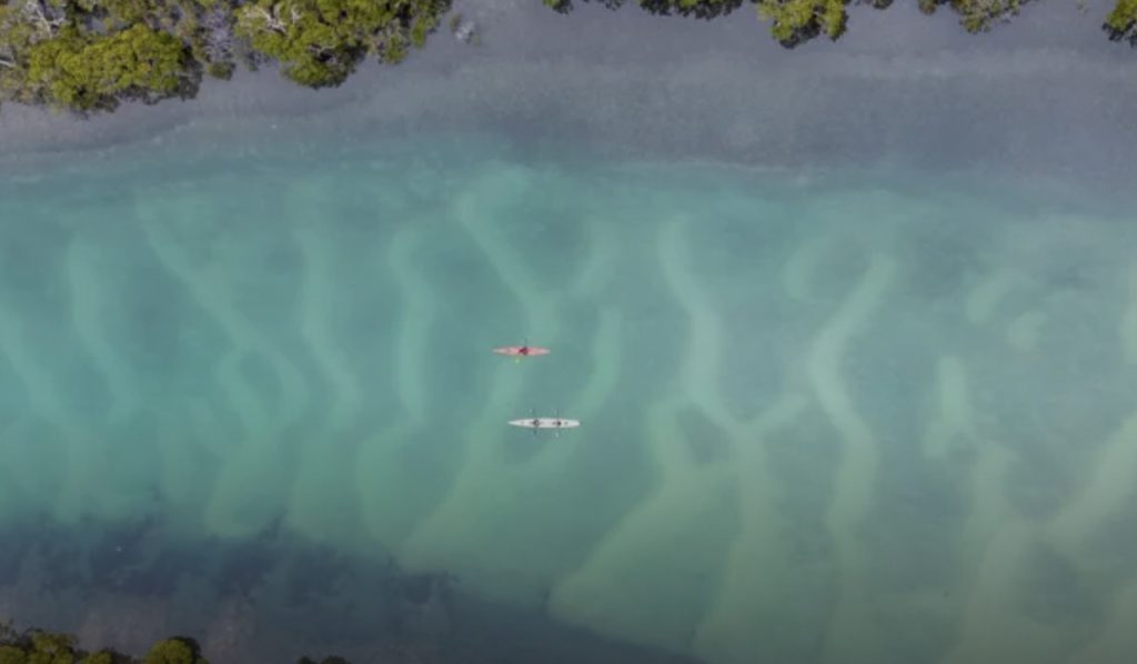 Bermagui Kayak